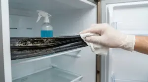 Mano con guanto pulisce la guarnizione del frigorifero annerita e piena di muffa