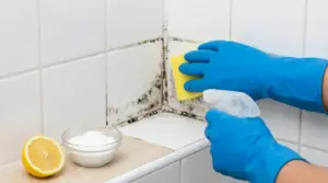 Mano con guanti pulisce muffa e umidità nell’angolo delle piastrelle con spugna, limone e bicarbonato