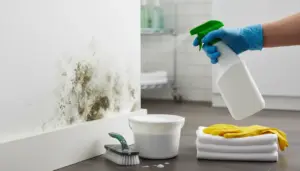 Mano con guanto spruzza detergente su parete con muffa, con spazzola, secchio e panni per la disinfezione