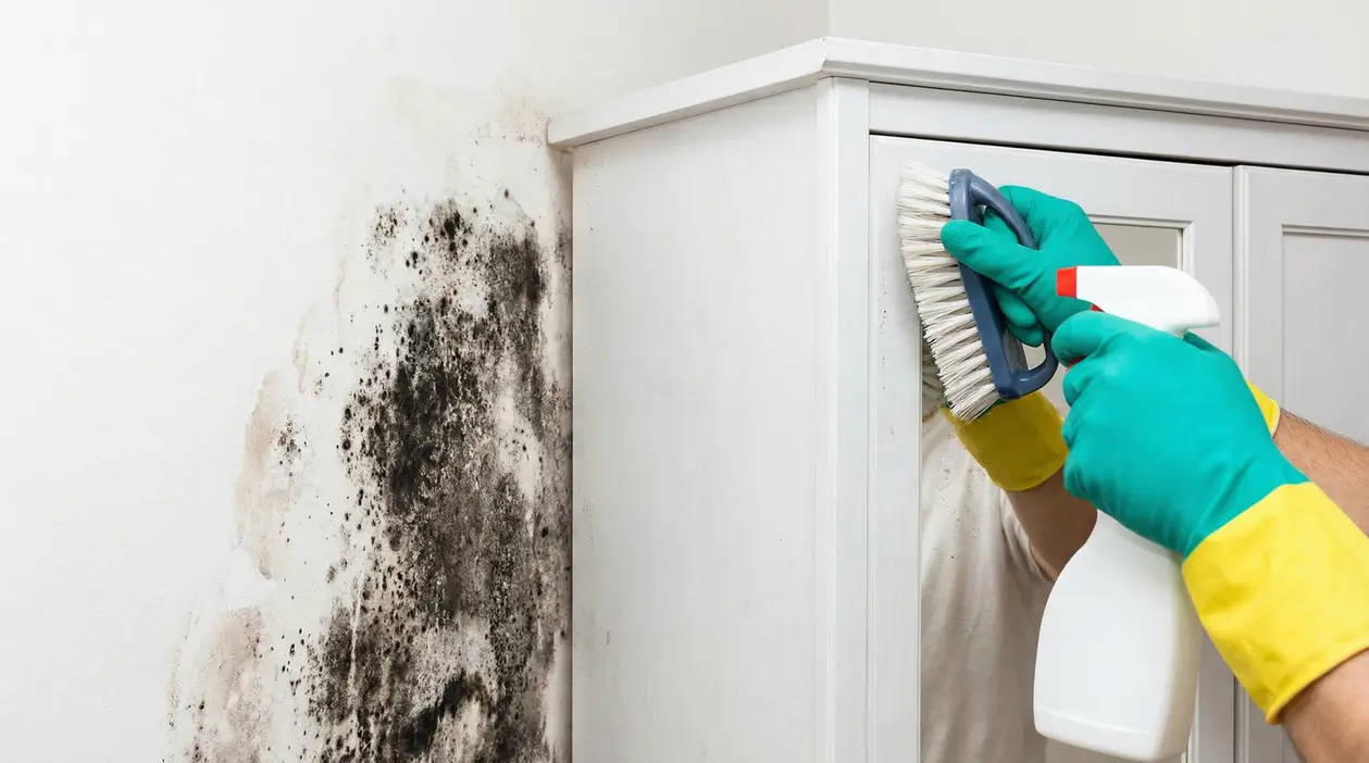 Pulizia della muffa dietro un armadio: una persona con guanti spruzza detergente e spazzola la parete macchiata